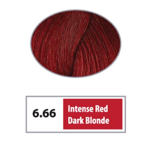6.66 - Intense Red Dark Blonde / Reds / 6