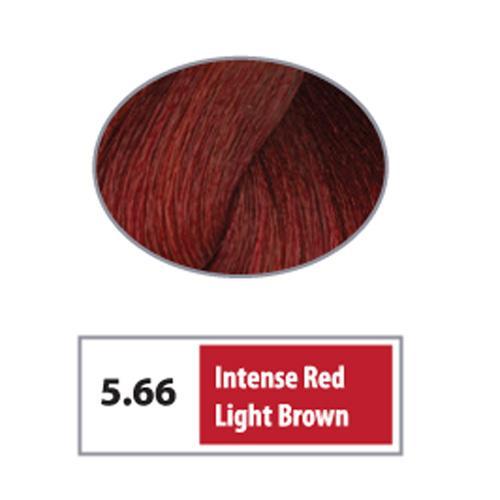 5.66 - Intense Red Light Brown / Reds / 5