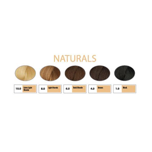 REF Soft Demi Permanent Hair Color Professional Salon Products