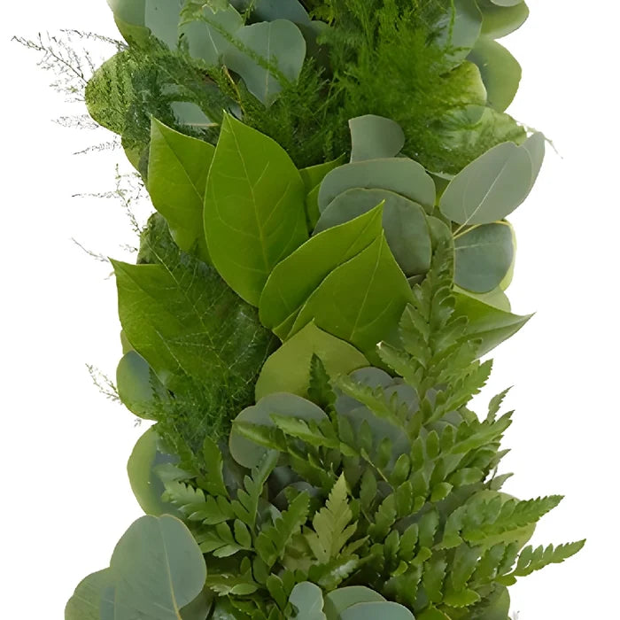 Silver Dollar, Leather Leaf, Plumosa and Salal Greens Garland