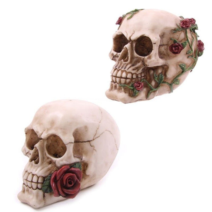 Skull with Roses - Random Design 🇬🇧