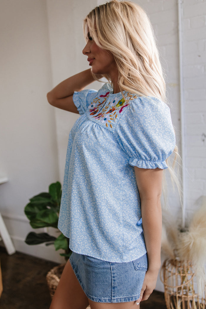 Sky Blue Floral Embroidered Puff Sleeve Notched V Neck Blouse 🇺🇸