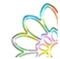 Starform - Deco Stickers - Thank You - Variety of Colours. 30 same size Thank You stickers. Sticker sheets are also accented with flower stickers. Each sold separately.  Available: Black, Copper, Gold, Multi-Colour, Silver. Available at Embellish Away located in Bowmanville Ontario Canada.