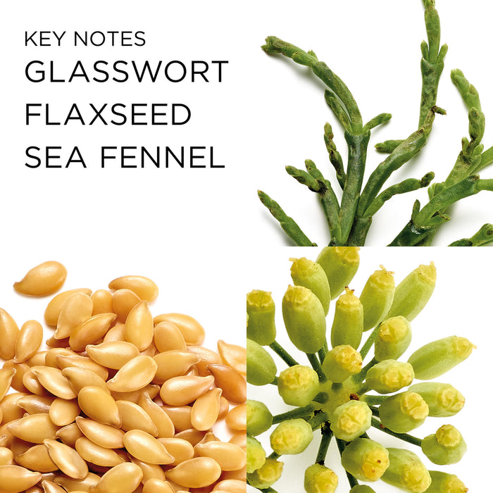 SUPERSTART Skin Renewal Booster Key Ingredients is glasswort, flaxseed and sea fennel.