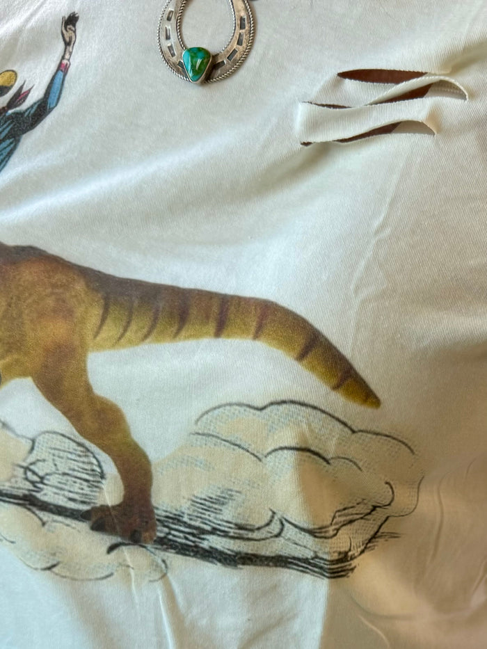Light blue T-shirt fabric close-up with cowboy dinosaur graphic and cloudy details