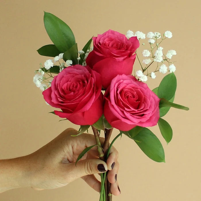 Fundraiser Hot Pink Flowers Bunch in Hand