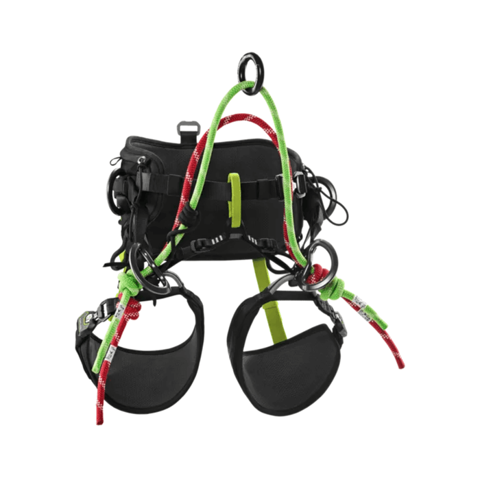 TreeRex II Tree Climbing Harness