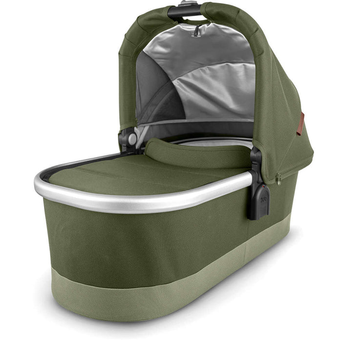 Hazel- Olive