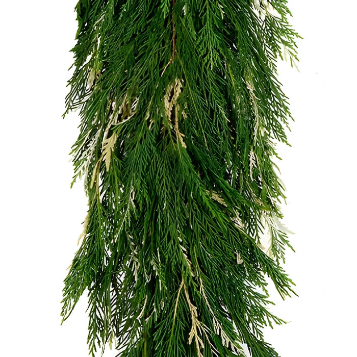 Variegated Leyland Cedar Garland